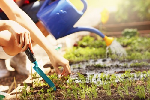Professional hedge cutting service for Harlesden homes and gardens