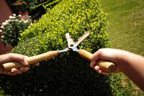 Supplier audit process for tree surgery operations