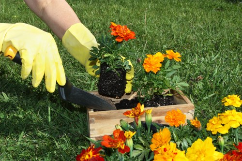 Emergency preparedness during arboricultural operations
