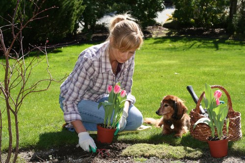Annual review of modern slavery controls in arboriculture