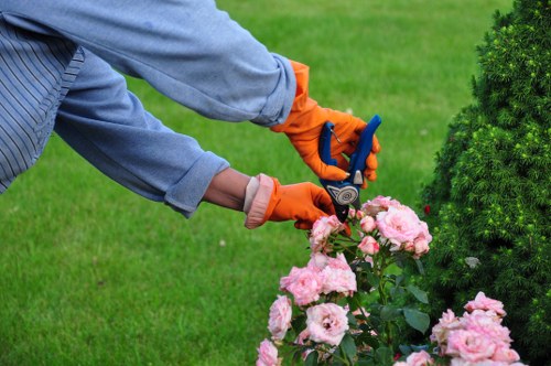 Final checklist and paperwork for tree surgery terms and completion