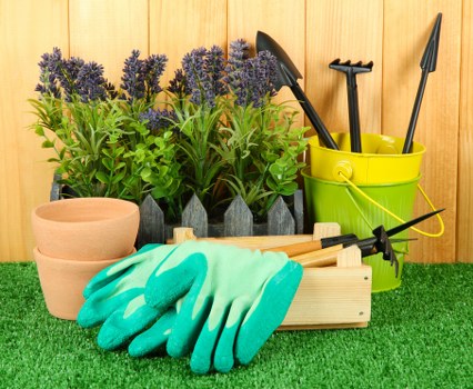 Clear, transparent tree surgery pricing with waste volume explained